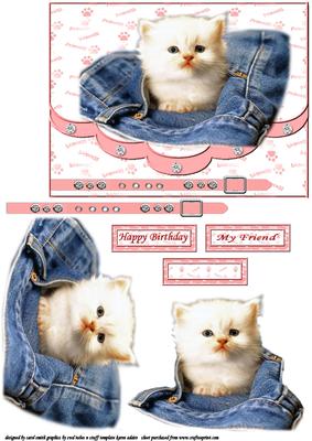 A Kitty in My Pocket
