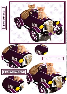The Kitten Car Oval Pyramid