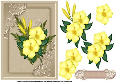 The Yellow Hibiscus