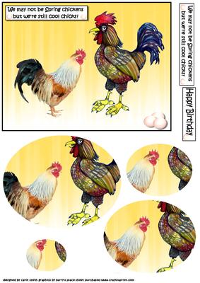 The Spring Chickens Humourous Oval Pyramid