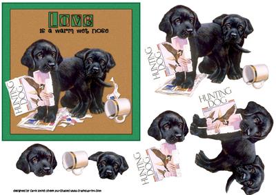 Love is a Warm Wet Nose