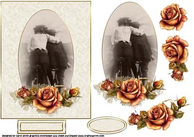 The Vintage Love on a Bicycle