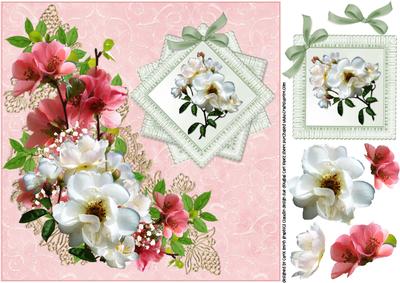 8x8 the Wild Rose