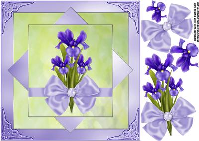 8x8 the Iris Plain and Simple