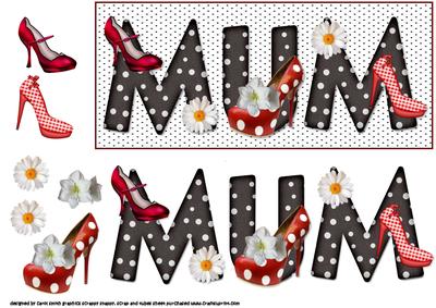 Mum and Her Shoes Dl Topper