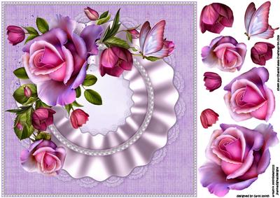 8x8 Rose Romantica