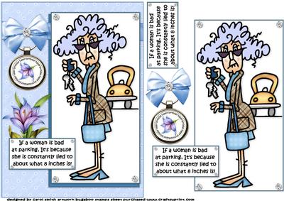 Stella and Parking Quick Card
