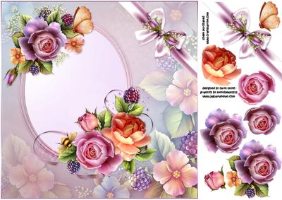 8x8 English Roses