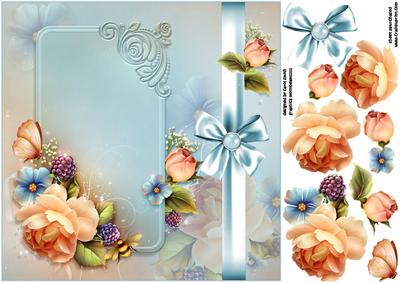 8x8 Peach English Roses