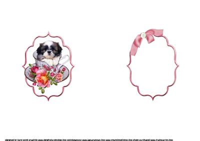 The Shih Tzu is My Cup Rosie Lea Insert