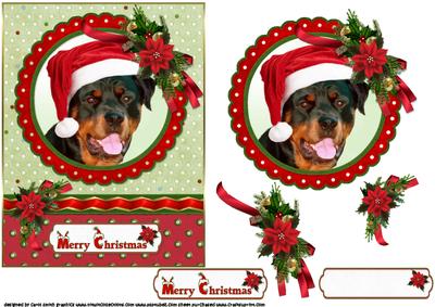 Rottweiler Christmas Wishes
