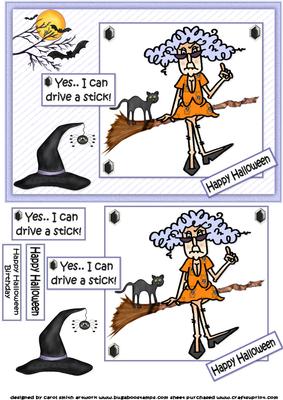 Stella Can Drive a Stick Halloween/birthday Quick Card
