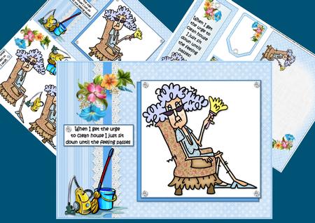 Stella and House Cleaning Mini Kit with Insert and Bookmark