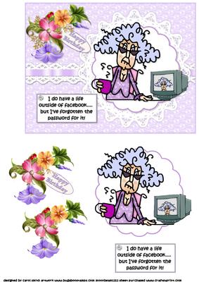Stella Has Forgotten Her Password Quick Card