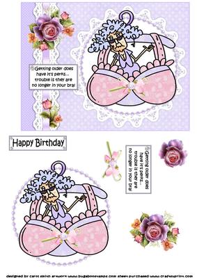 Stella Perks of Getting Older Quick Card