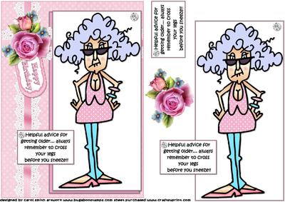 Stella Careful When You Sneeze Quick Card