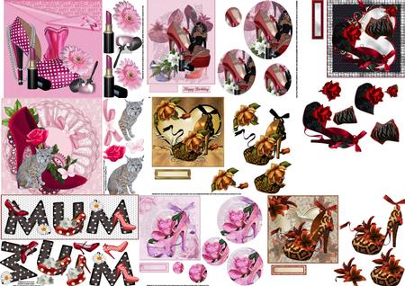 It's All About the Shoes Ladies Bumper Kit