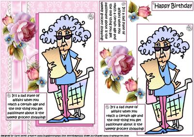 Stella and Her Grocery Shopping Quick Card