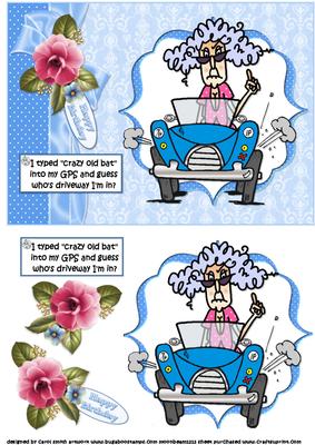 Stella Uses Her Gps Quick Card