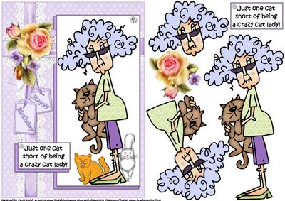 Stella a Crazy Cat Lady