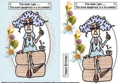 Stella the Older I Get Quick Card