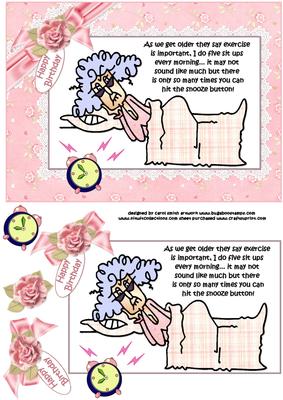 Stella and Her Daily Exercise Quick Card