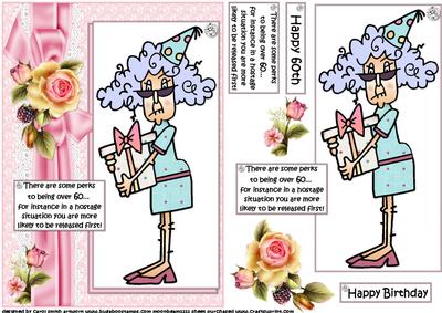 Stella the Perks of Being Over 60 Quick Card