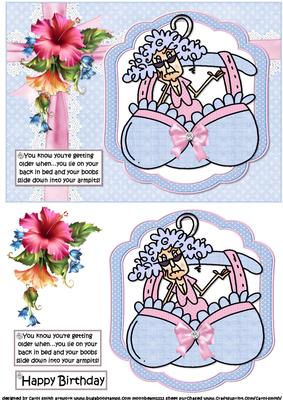 Stella and Her Sliding Boobs Quick Card
