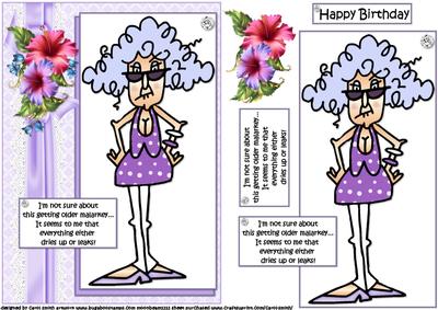 Stella Getting Older Malarkey Quick Card