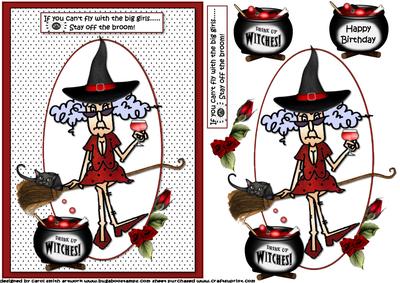 Stella Flys with the Big Girls Birthday/halloween Quick Card