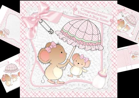 8x8 Congratulations New Big Sister Baby Girl Mini Kit