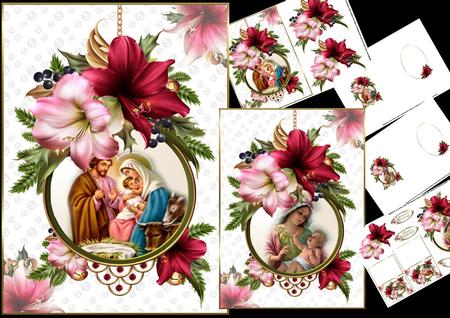 Christmas Amaryllis with Choice of Nativity Scenes Mini Kit