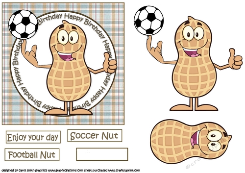 birthday soccer nut