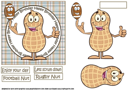 Rugby nut birthday