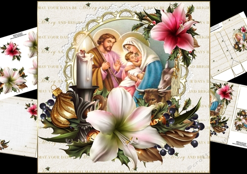 8x8 festive amaryllis with nativity scene mini kit