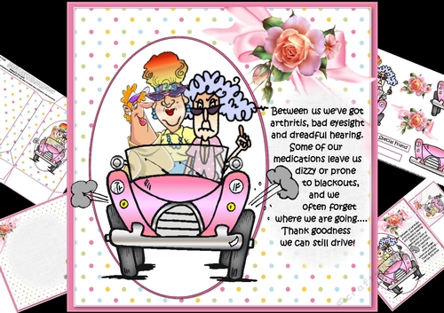 8x8 Stella and friends getting older and driving mini kit