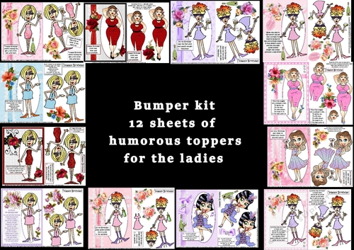 Bumper kit containing 12 ladies humorous topper sheets