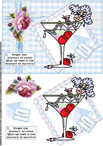 Stella and the fountain of youth quick card