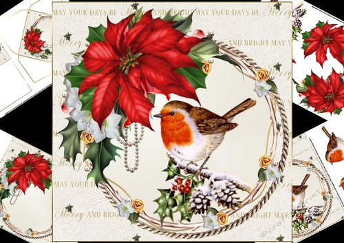 8x8 Red robin in festive frame mini kit