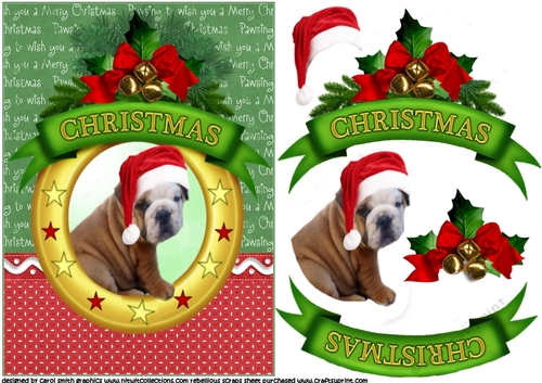 Christmas wishes Bull dog 