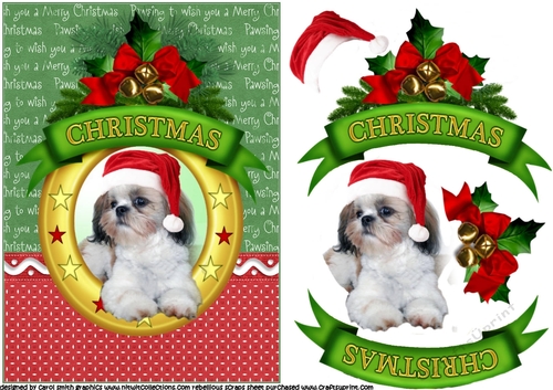 Christmas wishes Shih Tzu