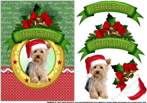 Christmas wishes Yorkshire Terrier