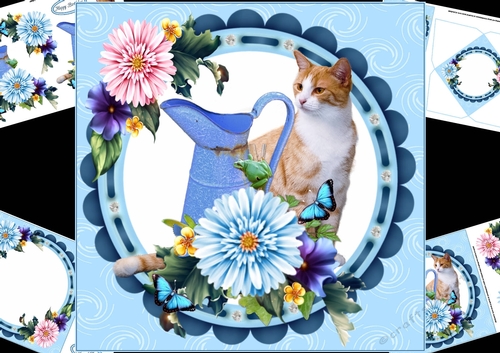 8x8 cat with water jug mini kit