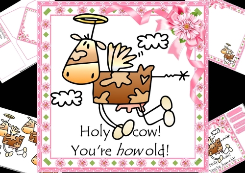 8x8 Holy cow mini kit