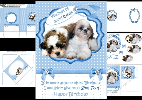 Pretty special birthday wishes blue mini kit