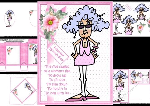 Stella stages of woman mini kit