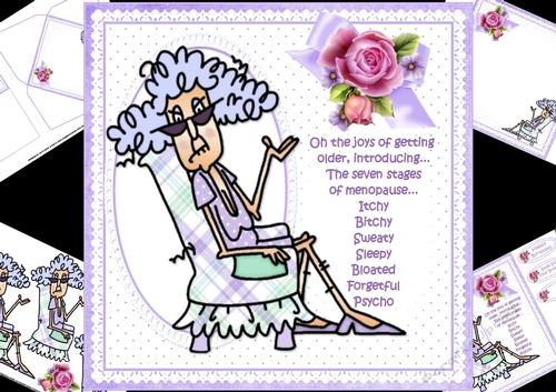 8x8 Stella and the menopause mini kit