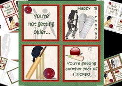 cup1016199_1209 - 8x8 Another year of cricket mini kit