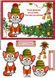 Ginger cat calamity Christmas 