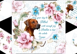 8x8 cool roses with special wishes mini kit 4